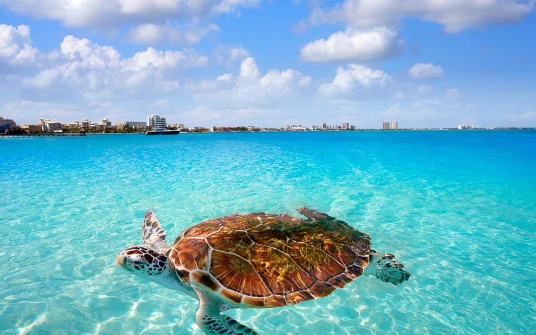 Make Cancun Easy With Krystal International Vacation Club
