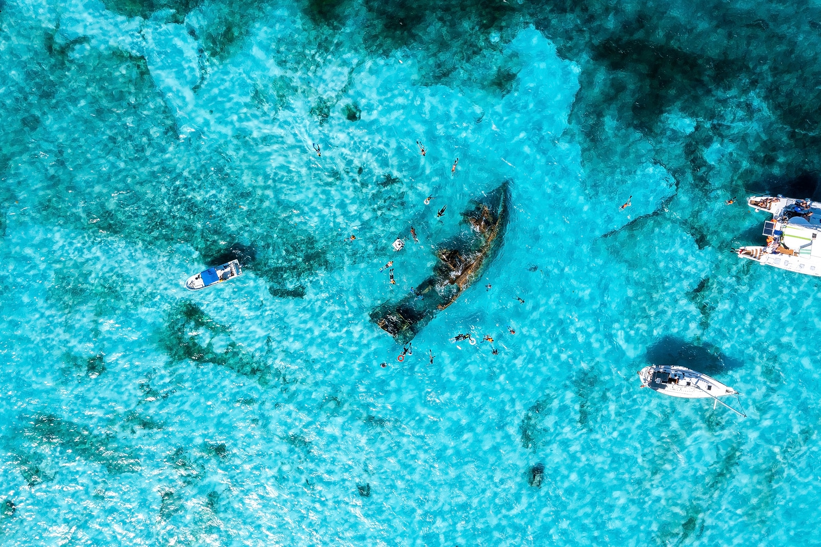 People snorkelling