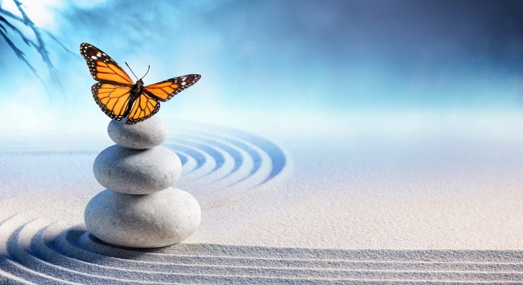 Butterfly On Spa Massage Stones In Zen Garden