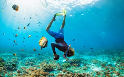 Krystal International Vacation Club Best Places to Go Snorkeling in Cancun