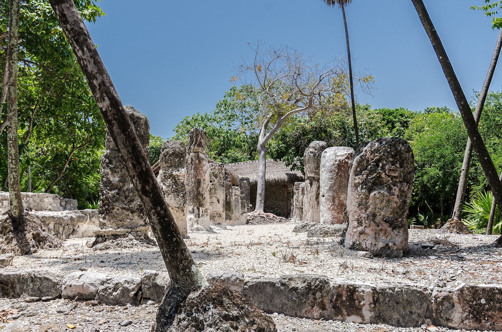 Krystal International Vacation Club Suggests Affordable Cancun Adventures