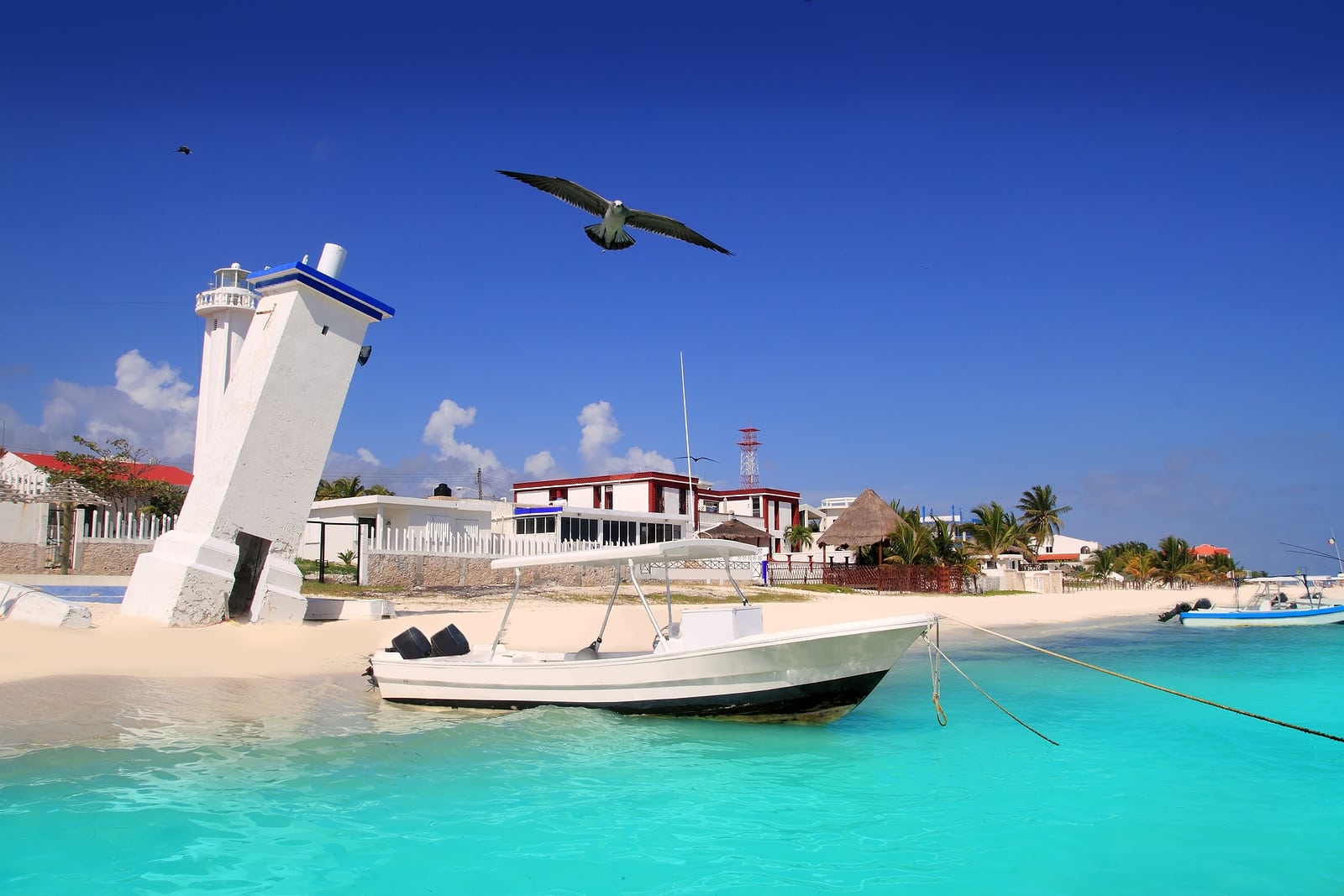 Krystal International Vacation Club Suggests Affordable Cancun Adventures 3