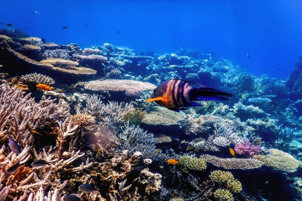 Hidden Gems to Visit in Cancun By Krystal International Vacation Club 4
